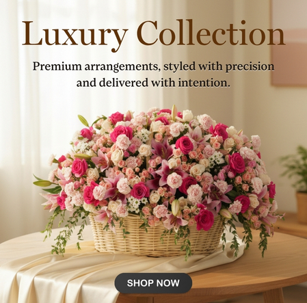 Premium Collection