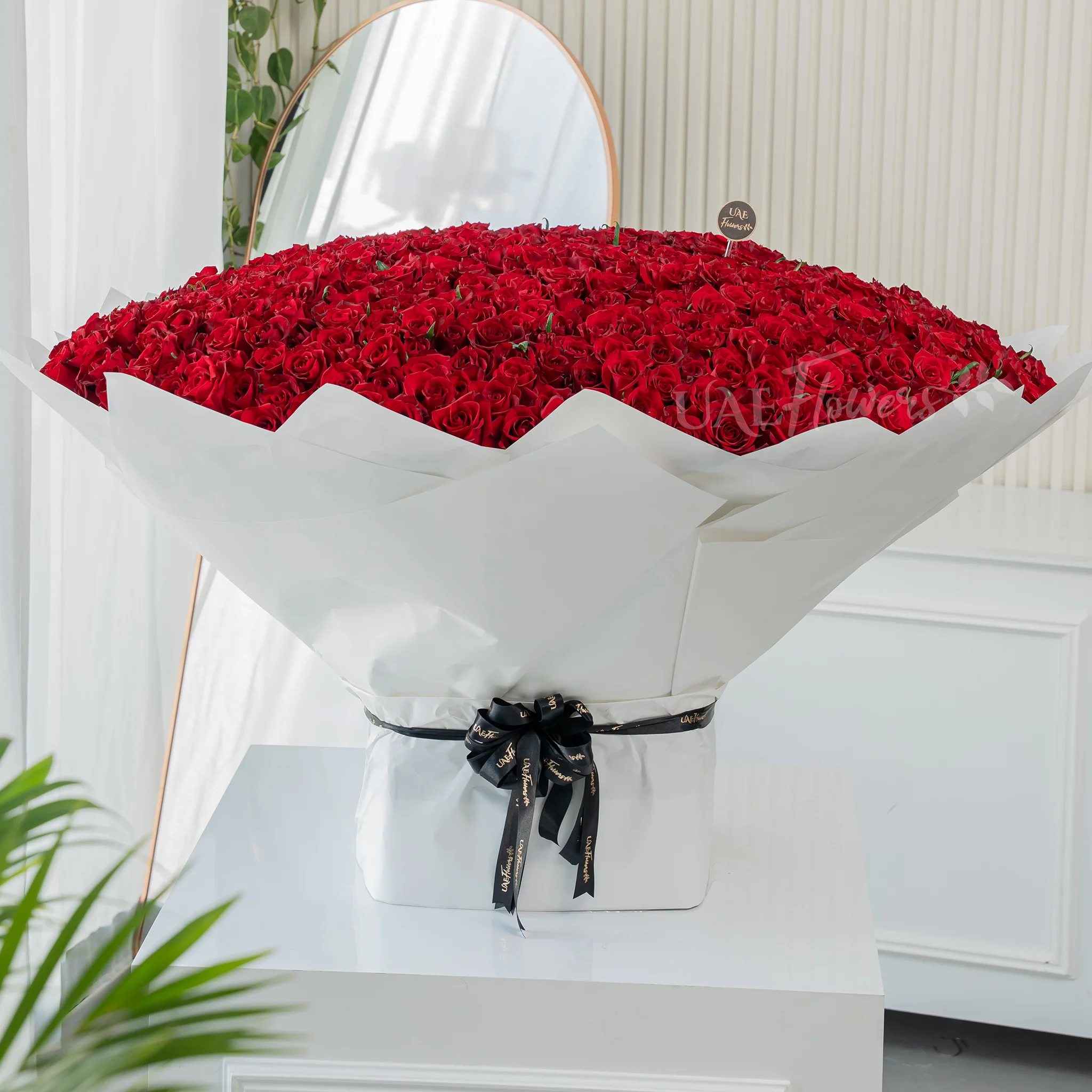 Bouquet of 1000 red roses in white wrapping paper tied with black ribbon.