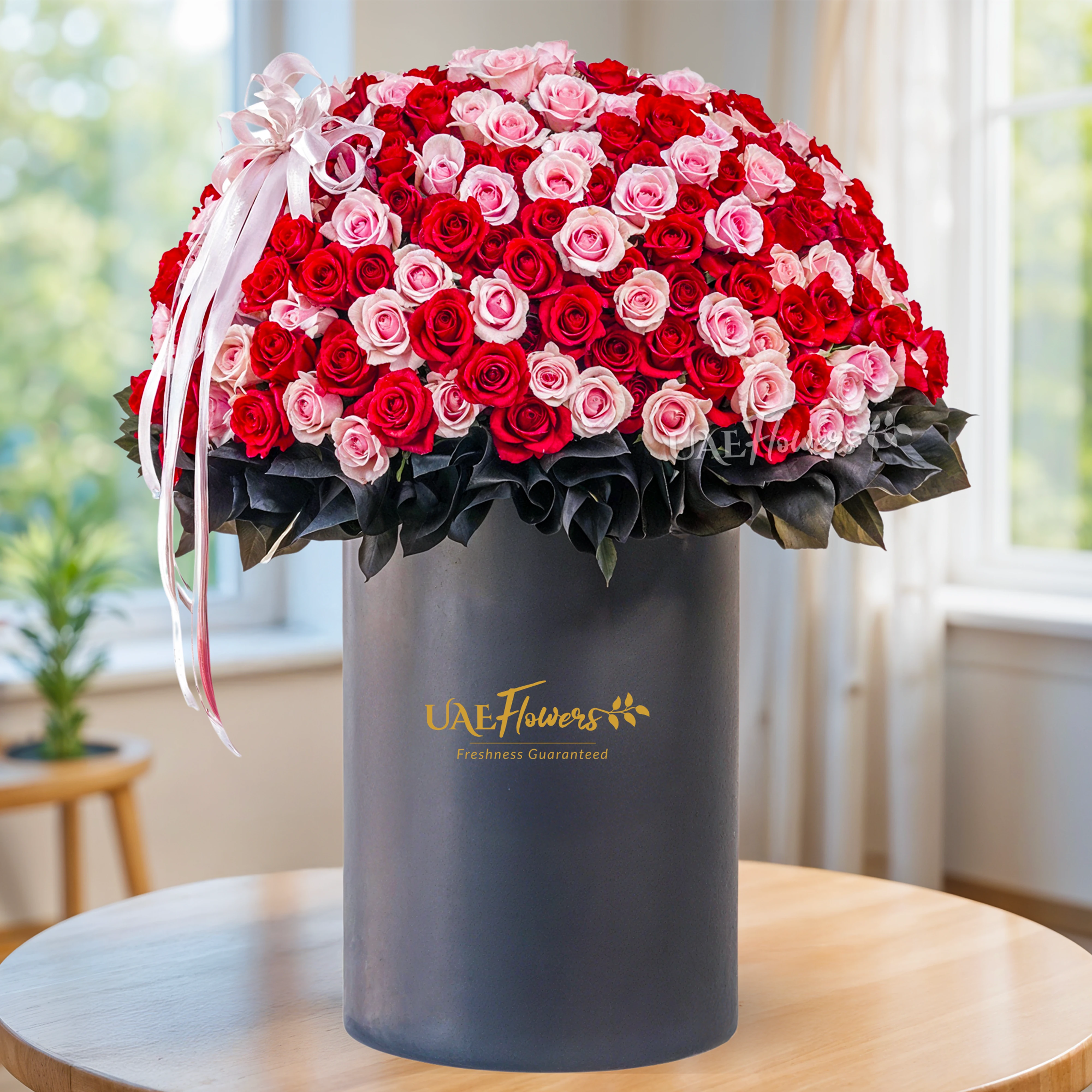 Full round arrangement of 300 red and pink roses in a tall round box.