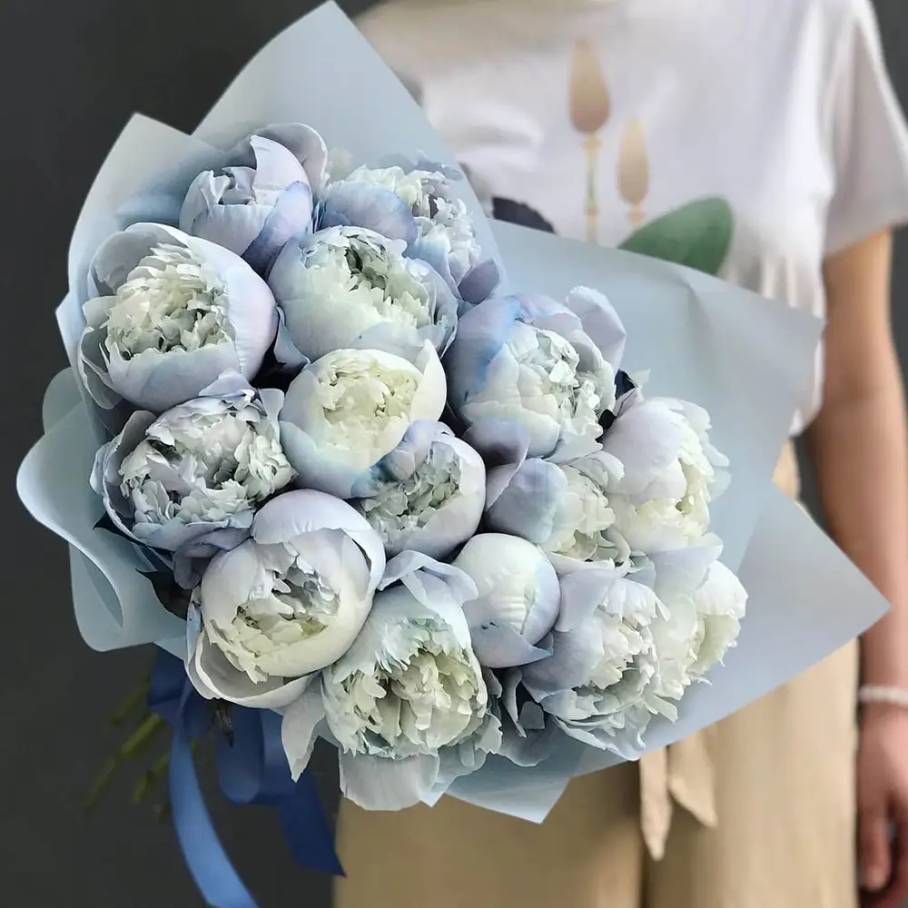 15 sprayed blue peonies with fillers in blue paper packing