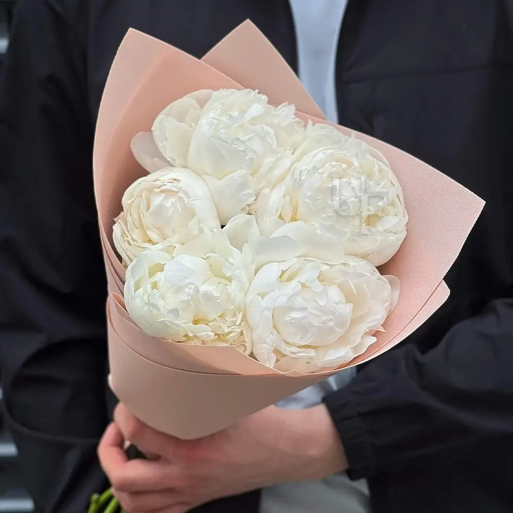 white peonies