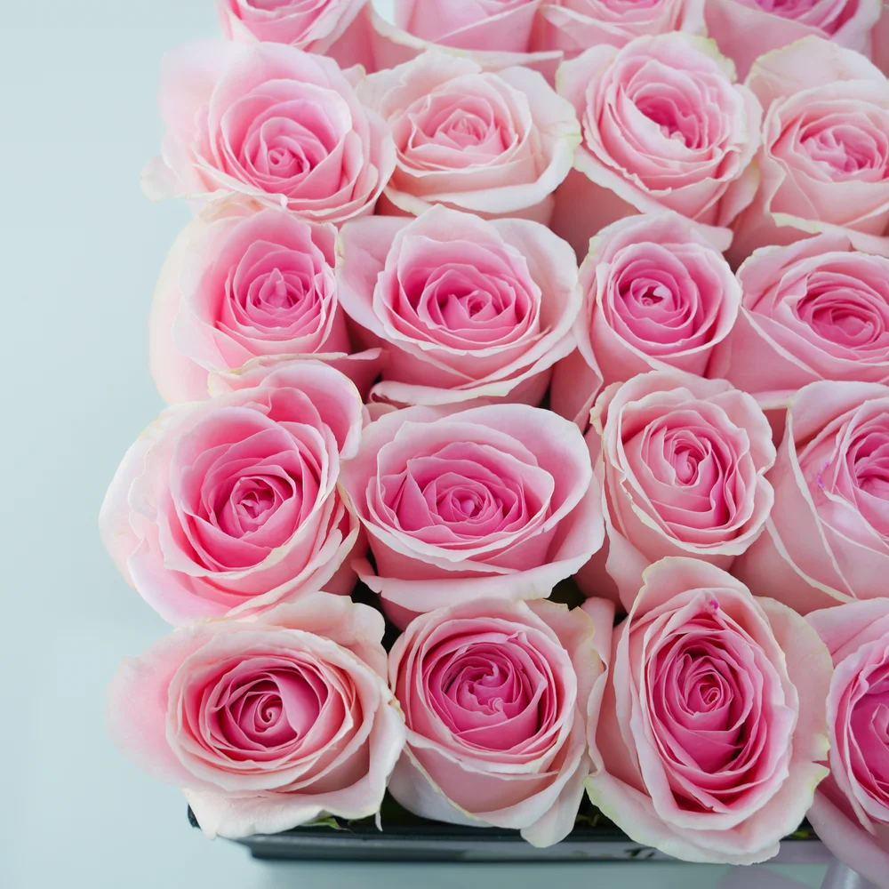 25 pink roses arranged in a square box