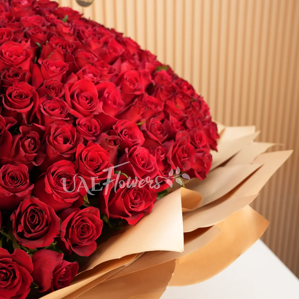 Bouquet of 600 red roses wrapped in wrapping paper and tied with ribbons.