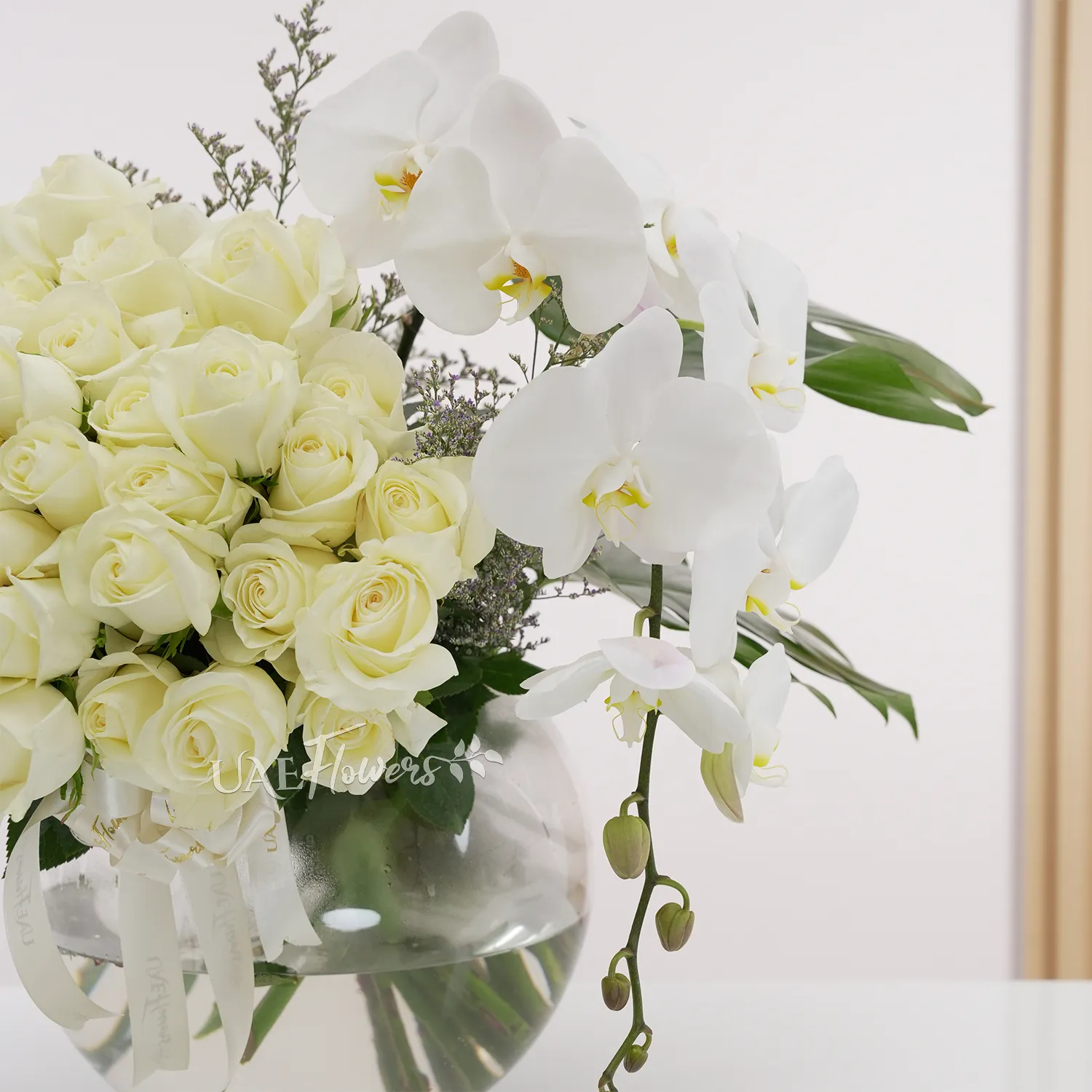 Glass vase of 50 white roses with white orchid and limonium fillers tied with satin ribbon