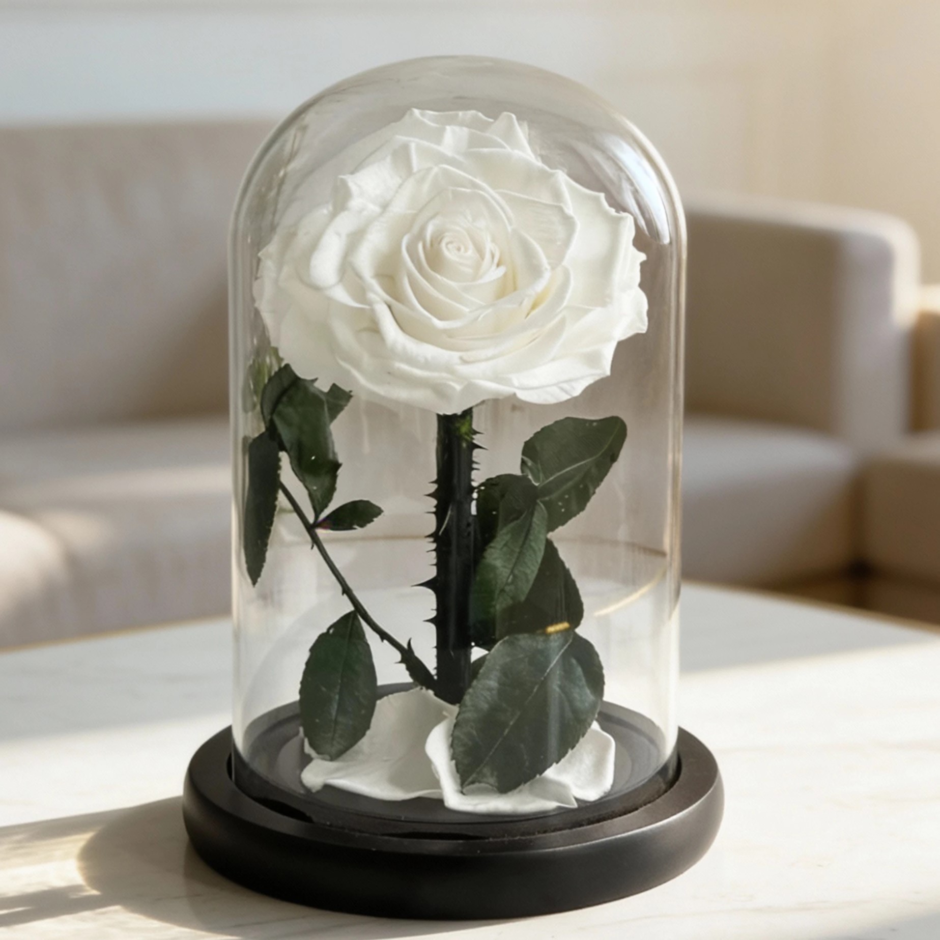 White forever rose preserved and arranged in an elegant glass box, symbolizing everlasting love and timeless beauty.