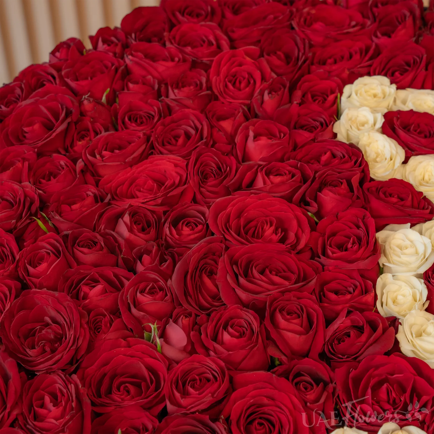 Luxury 200 Red & White Roses Triple Heart Box