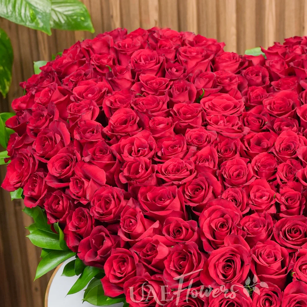 Heart-shaped arrangement of 100 red roses with delicate fillers, symbolizing love and romance.