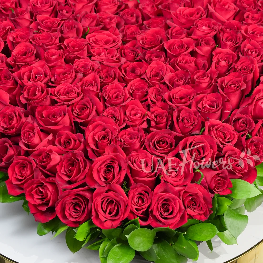 Heart-shaped arrangement of 100 red roses with delicate fillers, symbolizing love and romance.