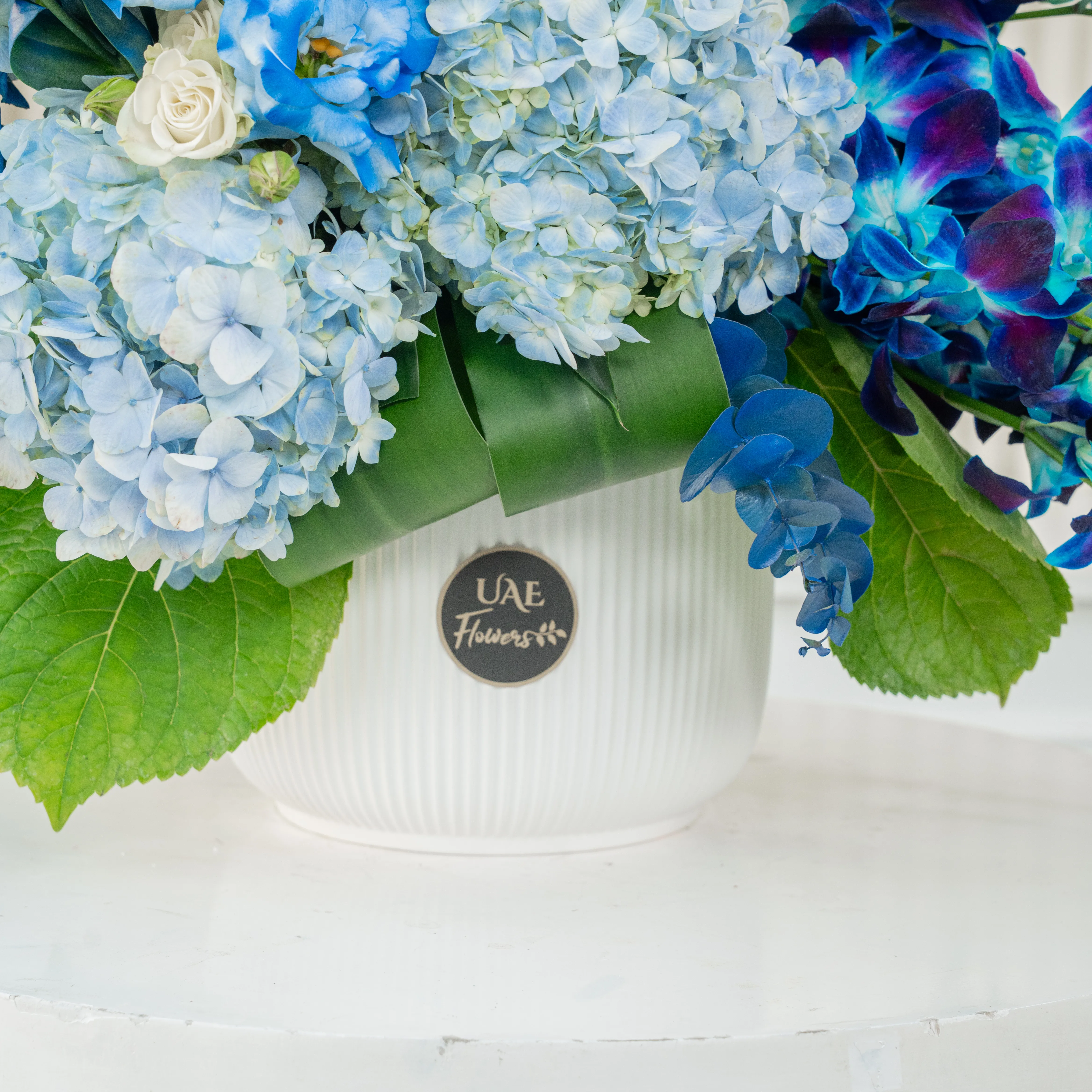 Serene ceramic pot arrangement of white blooms and blue orchids, hydrangeas, and fillers
