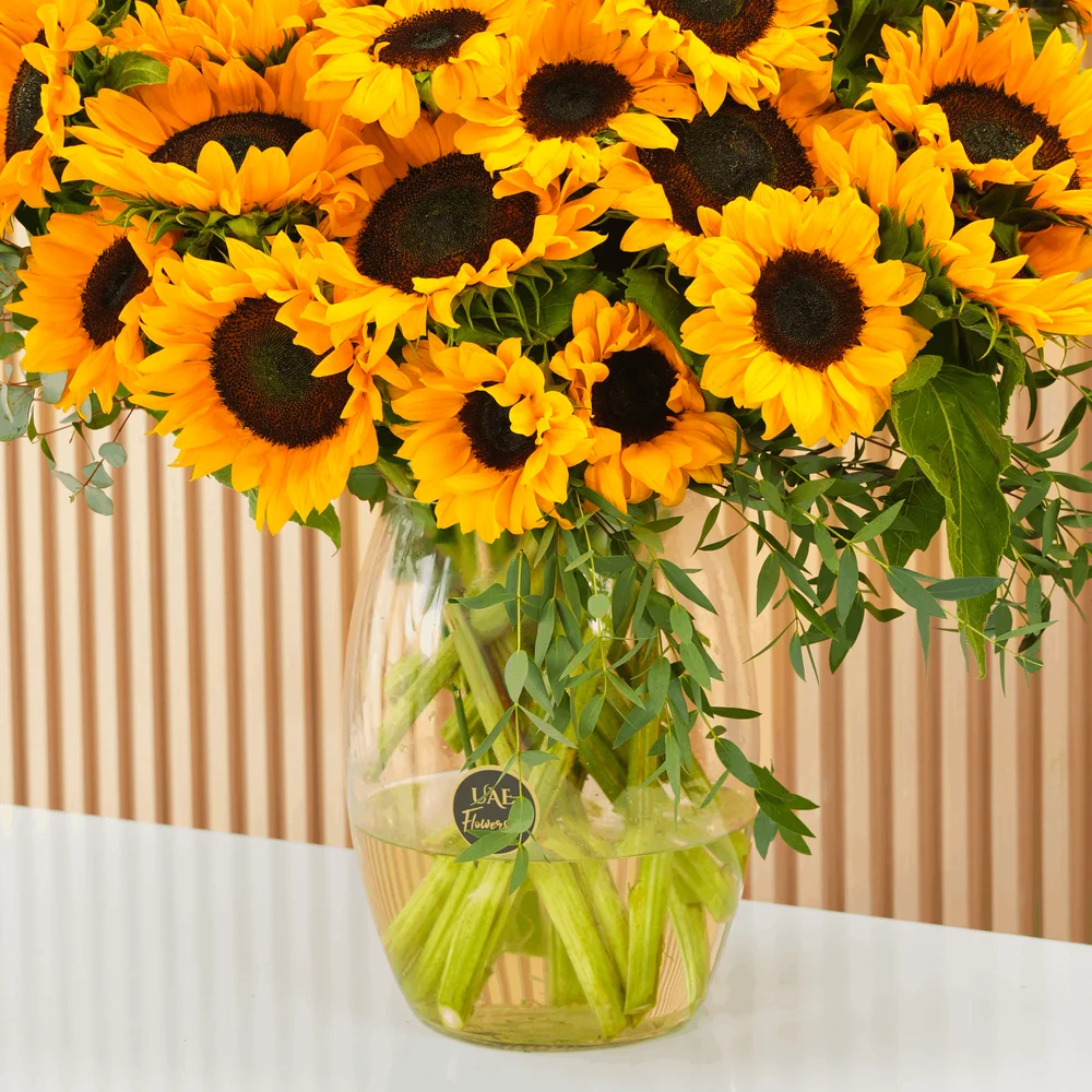 20 bright yellow sunflowers in a crystal glass vase
