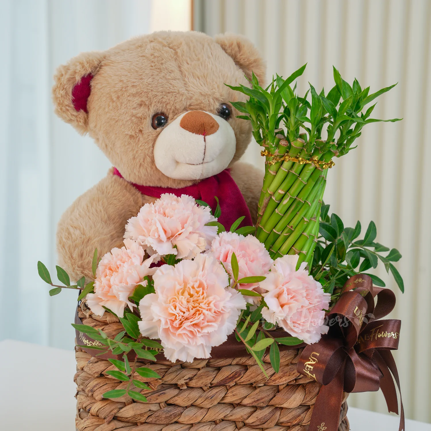 5 pink carnations, a brown teddy bear and a Lucky Wheel Bamboo plant