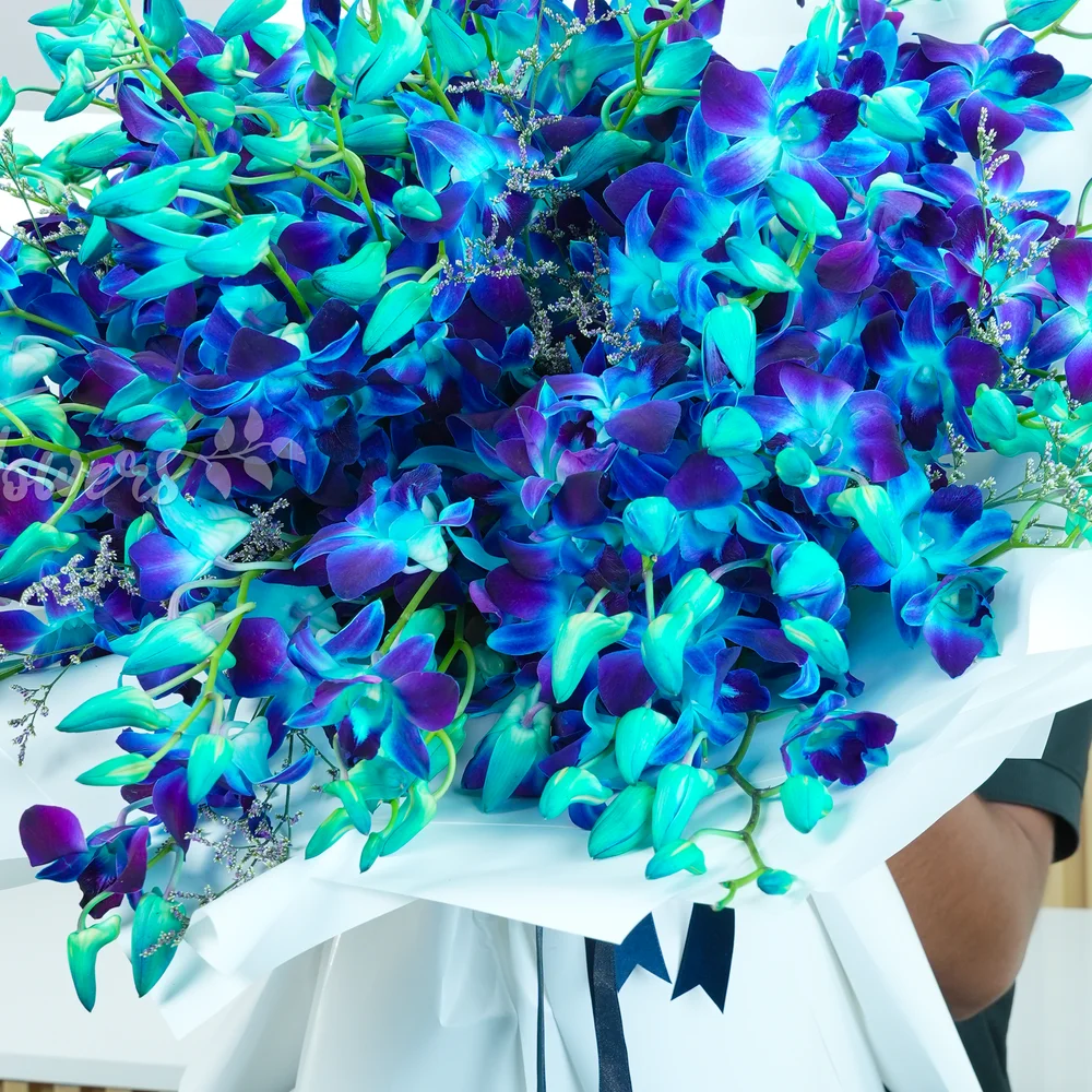 bouquet of 80 blue orchids