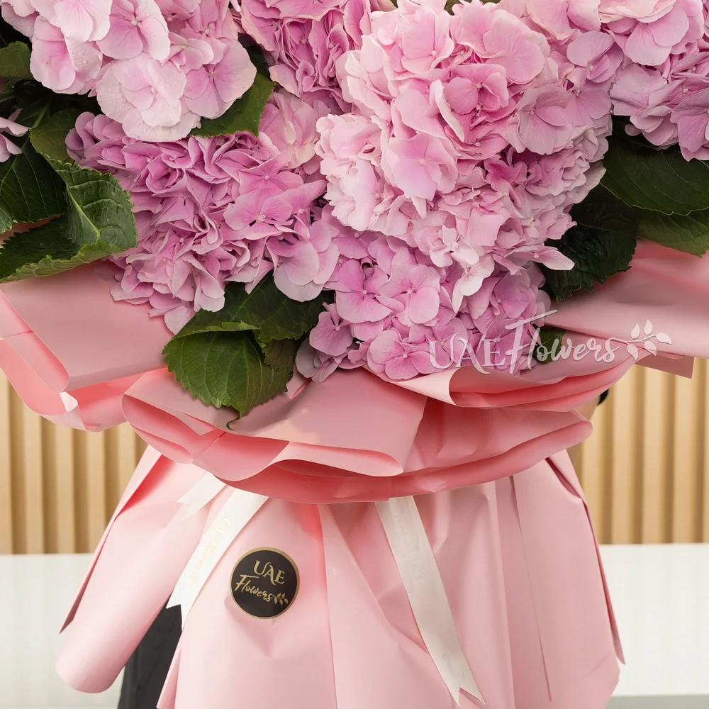 12 pink hydrangeas