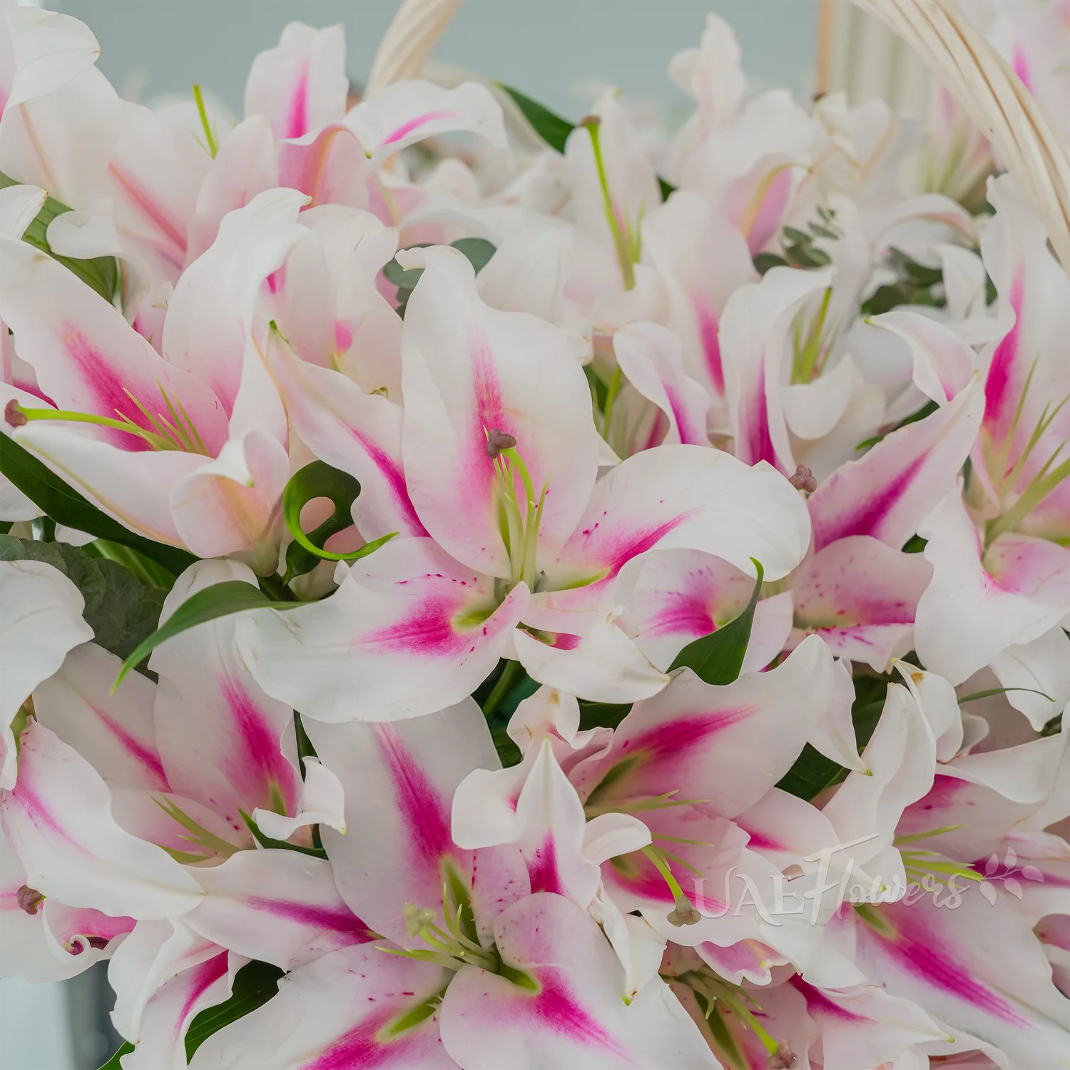 Pink Lilies Gift Basket