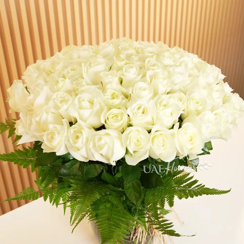 vase arrangement featuring 100 white roses with green fillers