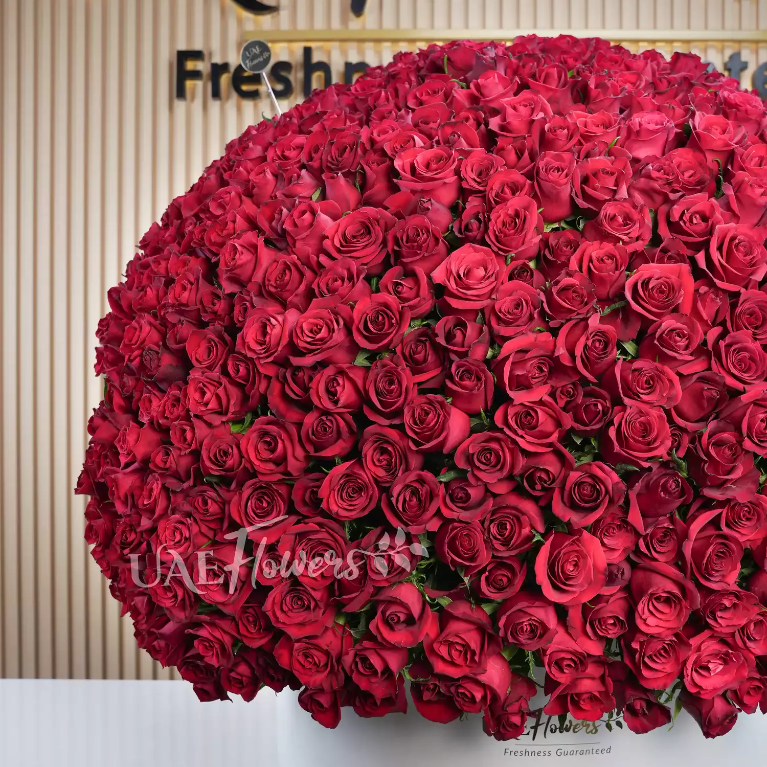 round box arrangement of 1000 red roses