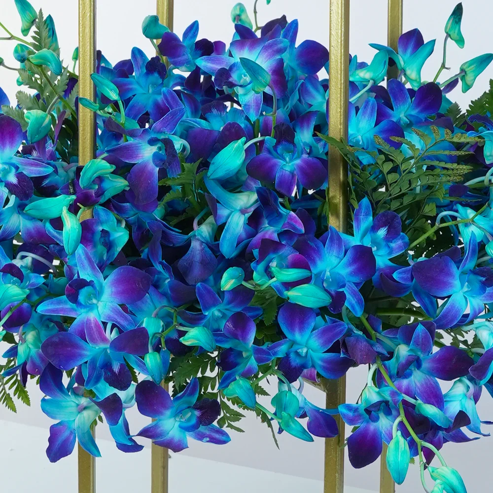100 blue orchids arranged on a stand