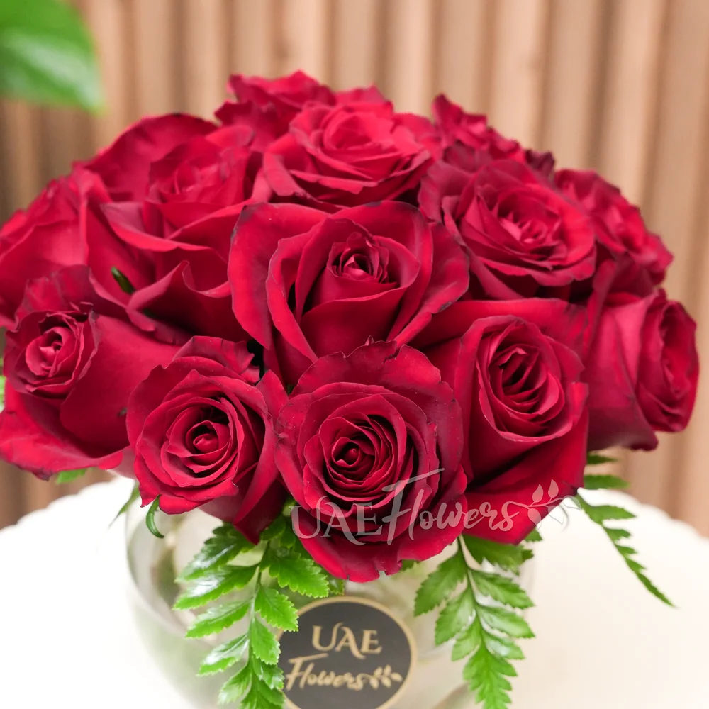 vase of 15 red roses paired with green fillers